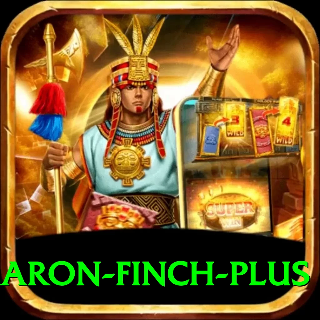 aaron finch Gaming Mega v4.1.5 - 2