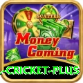 all cricket Plus New