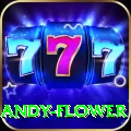 andy flower Max APK v5.4.5