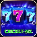 cricket nz VIP 2024