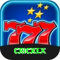 crickex Pakistan Champion v3.0.6