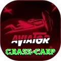 grass carp Money Elite v3.4.1
