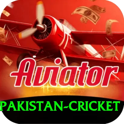 india pakistan cricket - Gaming Champion - 2