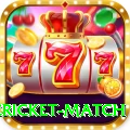 international cricket match Games VIP