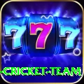 ireland cricket team Slots King v5.0.6