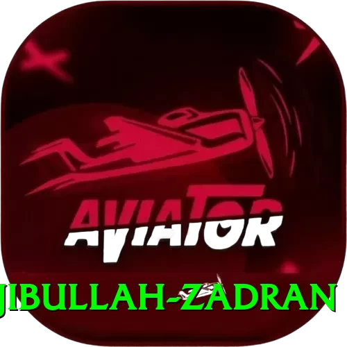 najibullah zadran Pakistan Turbo v3.1.8 - 2