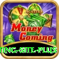 Pakistan Betting Site - Casino Mega