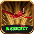 r cricket Deluxe New
