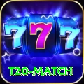 t20 match Mega APK v4.0.7