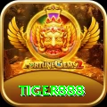 tiger888 Live Casino King