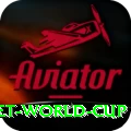 u19 cricket world cup Games Turbo