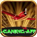 Ybets Prime Gaming App